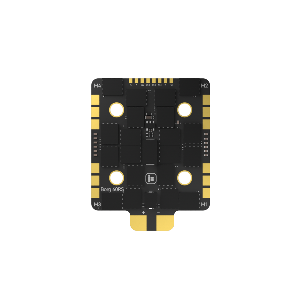 Borg_60RS_ESC_N1.jpg