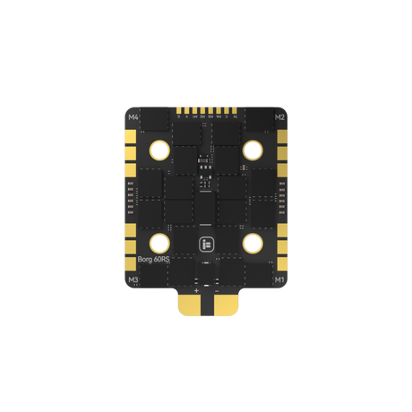 Borg_60RS_ESC_N1.jpg