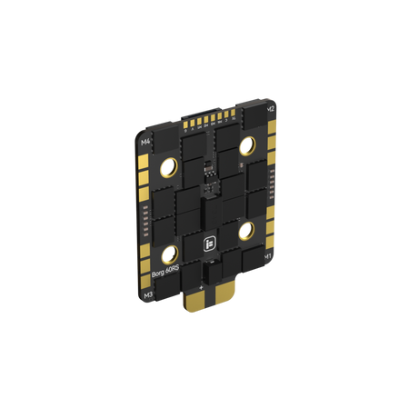 Borg_60RS_ESC_N2.jpg