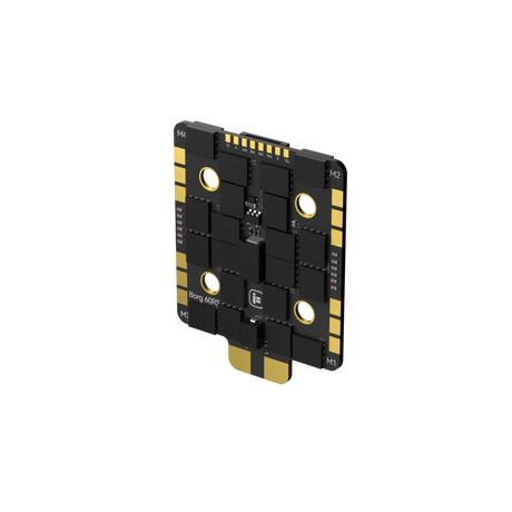 Borg_60RS_ESC_N3.jpg