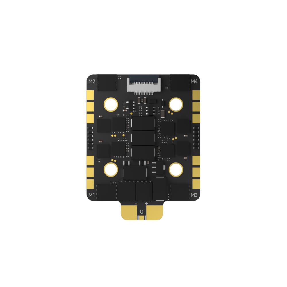 Borg_60RS_ESC_N4.jpg