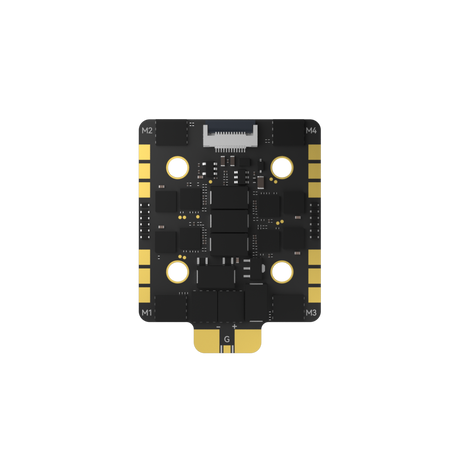 Borg_60RS_ESC_N4.jpg
