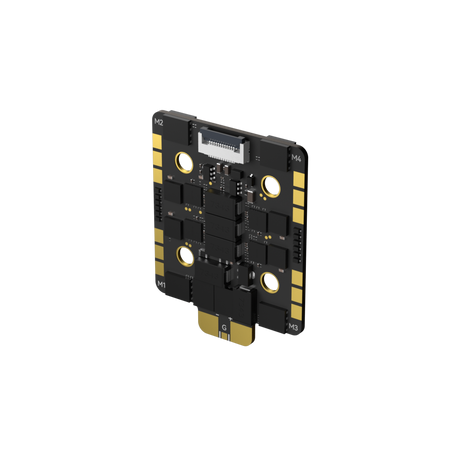 Borg_60RS_ESC_N5.jpg