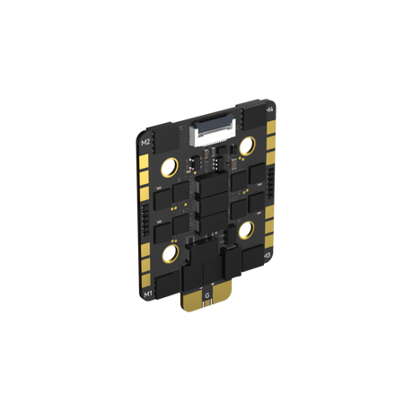Borg_60RS_ESC_N6.jpg