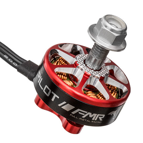 FMR F25 NAKED 2205 2300KV V2 - (1pcs)